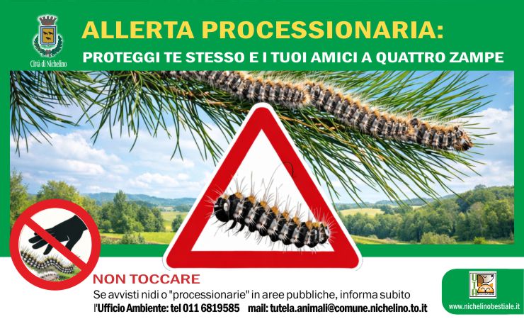 Pericolo PROCESSIONARIA